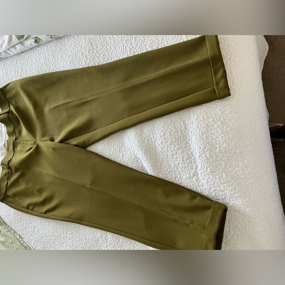 Loft plus pants